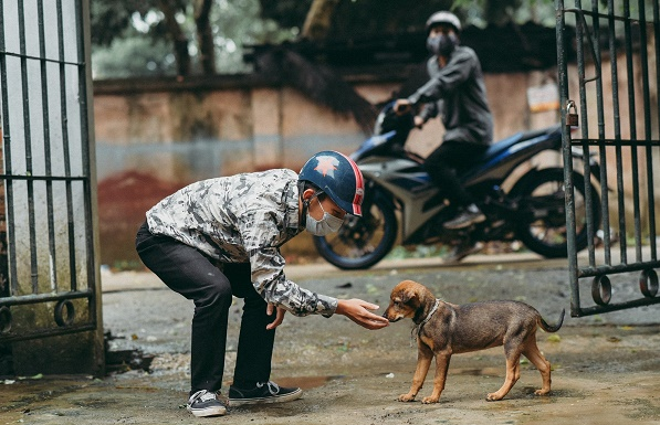 Mơ thấy mất trộm chó đánh lô đề con số gì 1