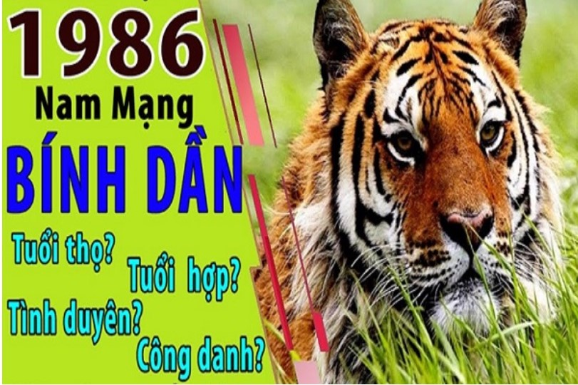 Ngoại giao của nam mạng Bính Dần