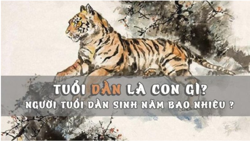 Tuổi Dần hay còn được gọi là tuổi Hổ